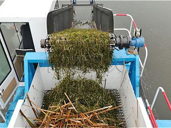新型滸苔打撈船由青島轉戰(zhàn)沂河